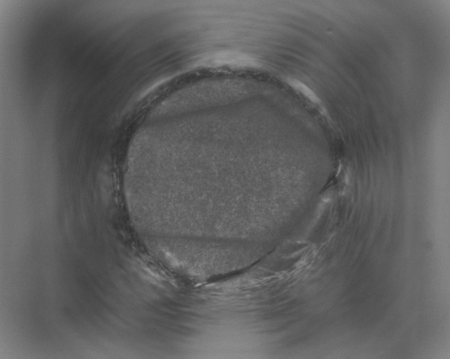 X0000074031112200609181919