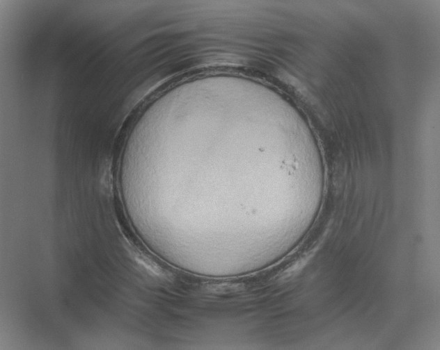 X0000074031113200609181919