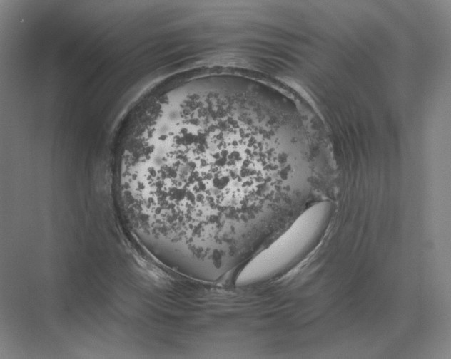 X0000074031115200609181919