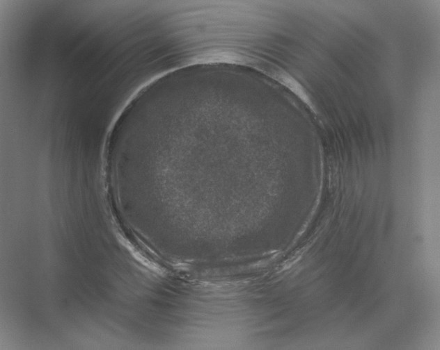 X0000074031116200609181919