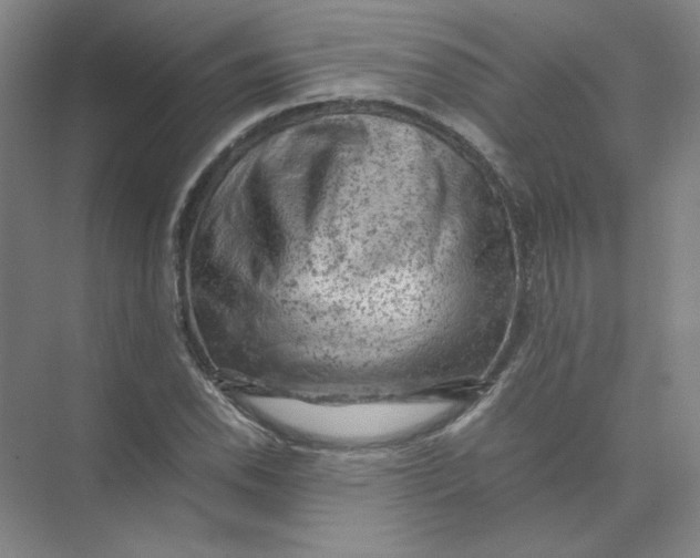 X0000074031118200609181919