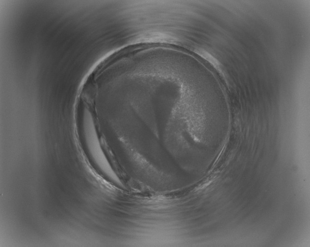 X0000074031120200609181919