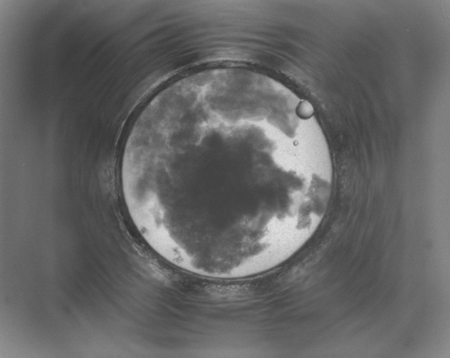 X0000074031121200609181919