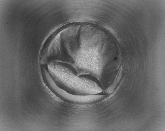 X0000074031122200609181919