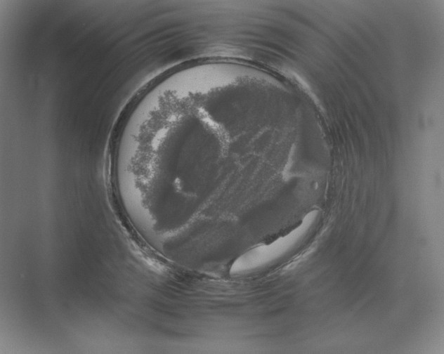 X0000074031125200609181920