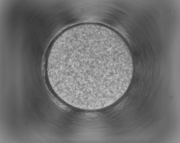 X0000074031126200609181920