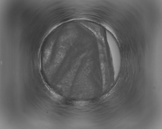 X0000074031127200609181920