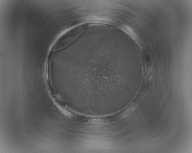 X0000074031128200609181920