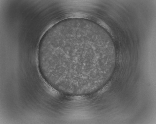 X0000074031130200609181920