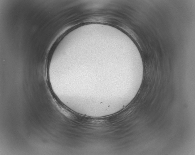 X0000074031131200609181920