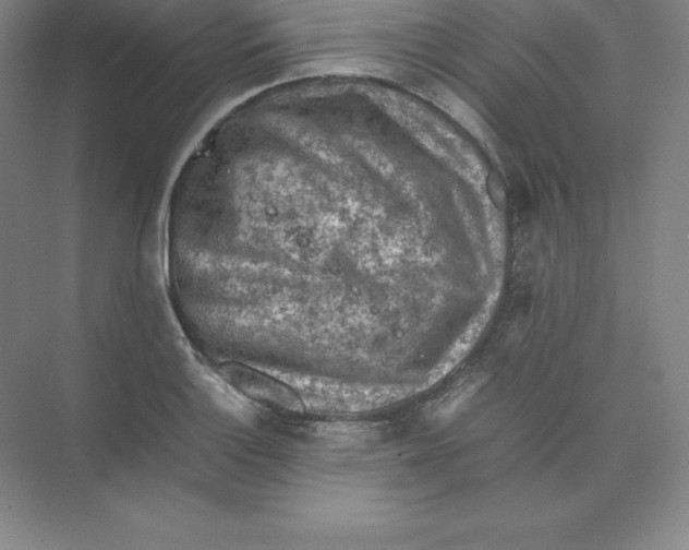 X0000074031132200609181920