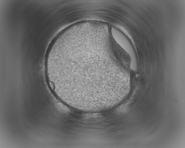 X0000074031133200609181920