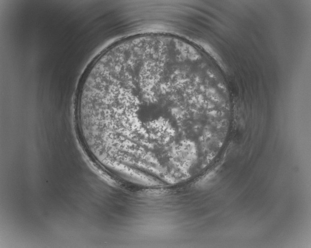 X0000074031134200609181920