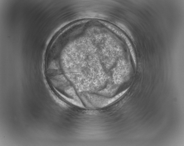 X0000074031136200609181920