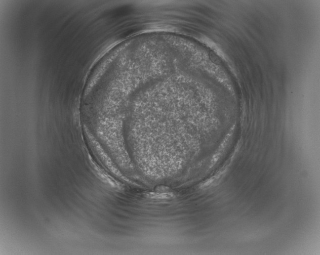 X0000074031137200609181920