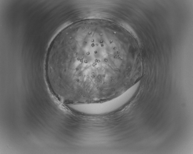 X0000074031138200609181920