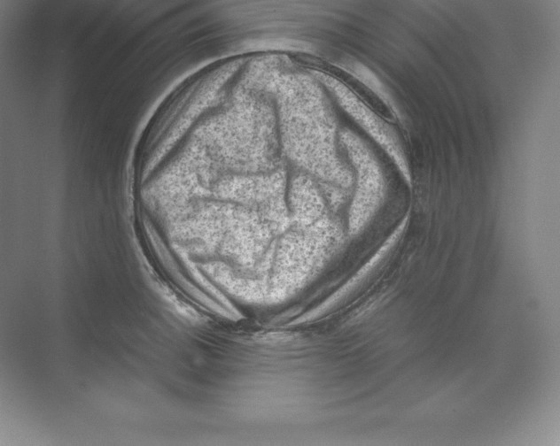 X0000074031140200609181920