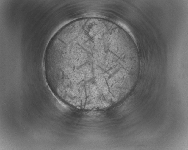 X0000074031141200609181920