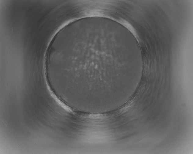 X0000074031142200609181920