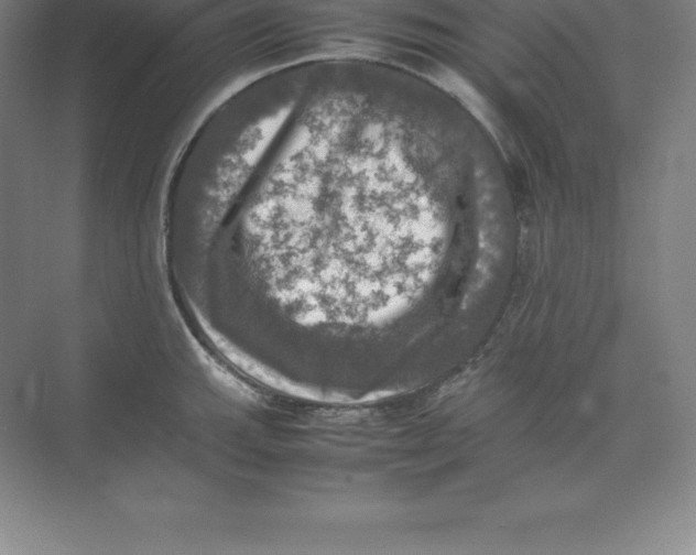 X0000074031143200609181920