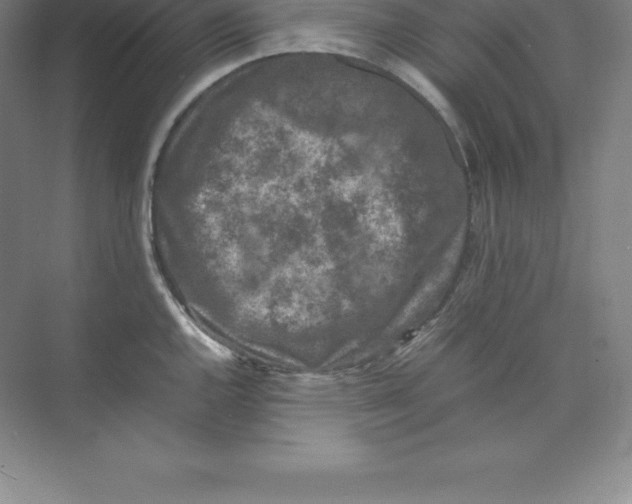 X0000074031144200609181920