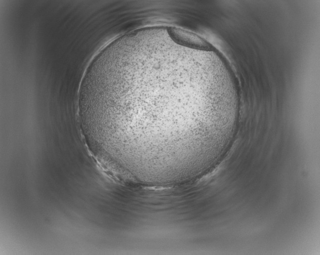 X0000074031145200609181920