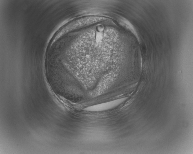 X0000074031146200609181920