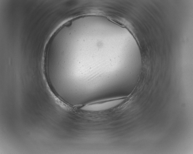 X0000074031147200609181920