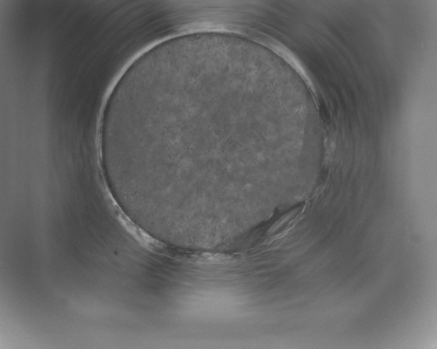 X0000074031148200609181920