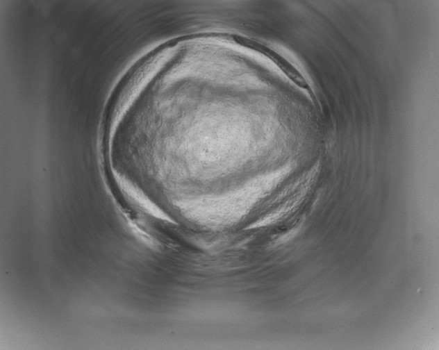 X0000074031149200609181920