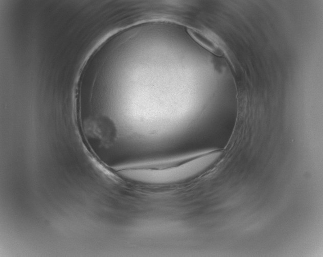 X0000074031151200609181920