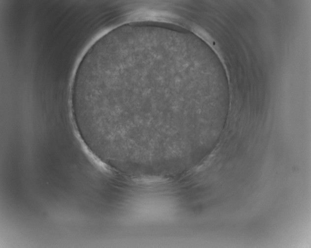 X0000074031152200609181920