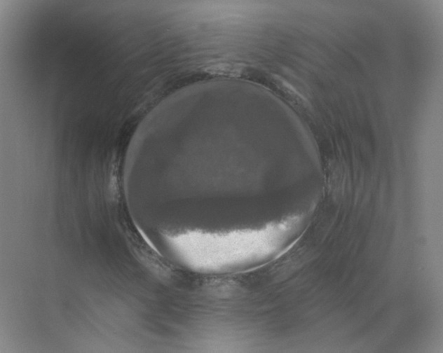 X0000074031154200609181919