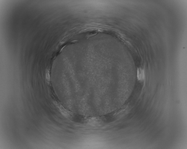 X0000074031155200609181919