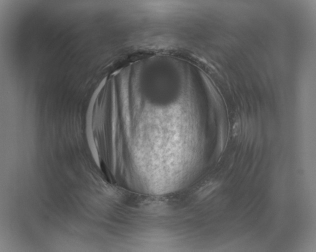 X0000074031156200609181919