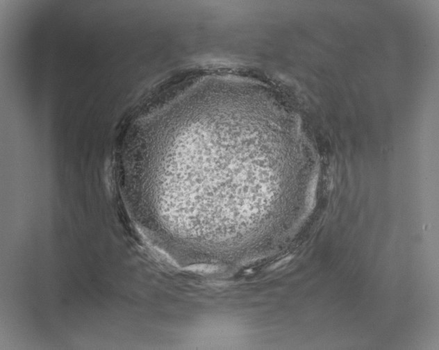 X0000074031157200609181919