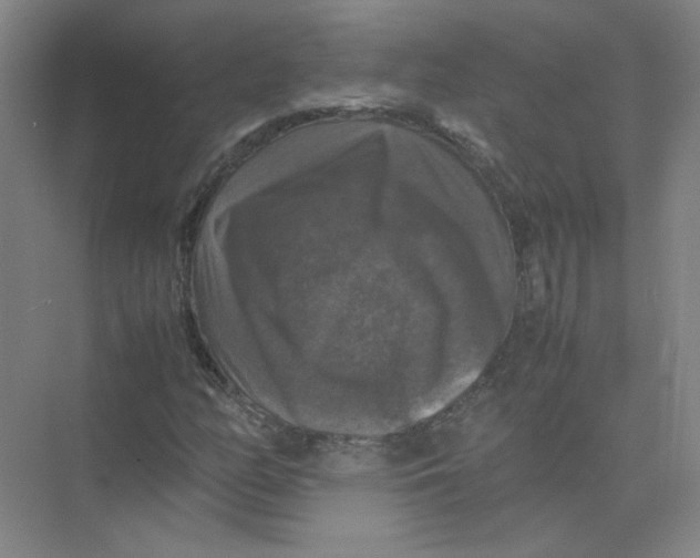 X0000074031158200609181919