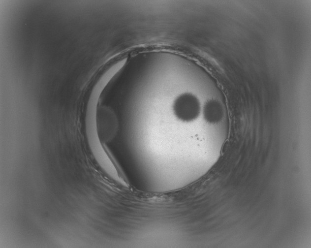 X0000074031160200609181919