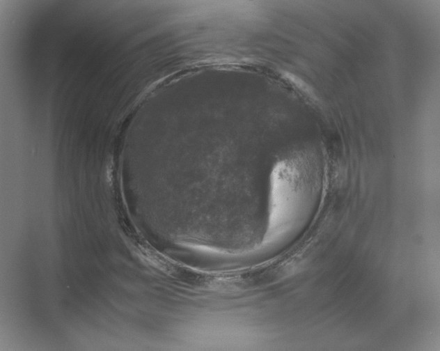 X0000074031161200609181919