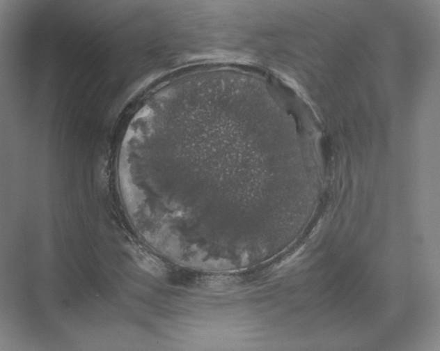 X0000074031163200609181919