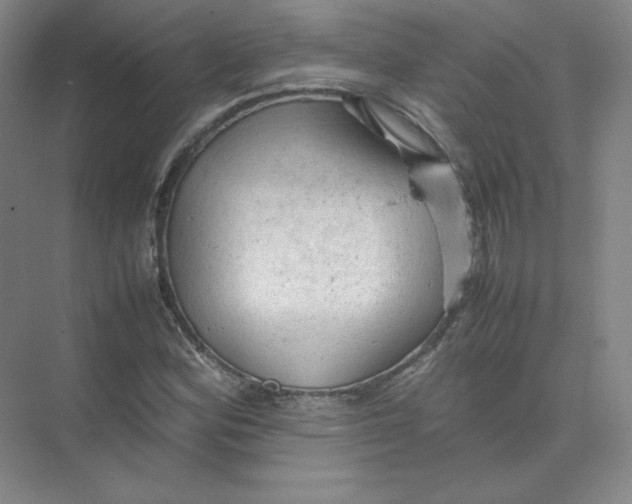 X0000074031164200609181919