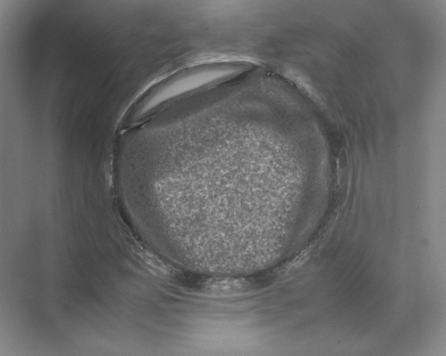 X0000074031165200609181919