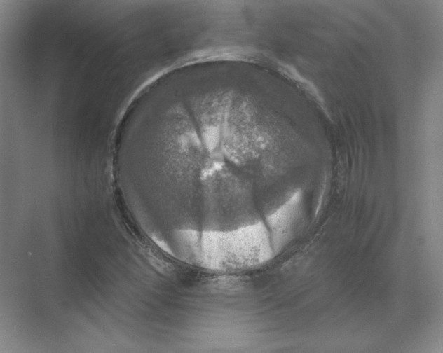 X0000074031166200609181919