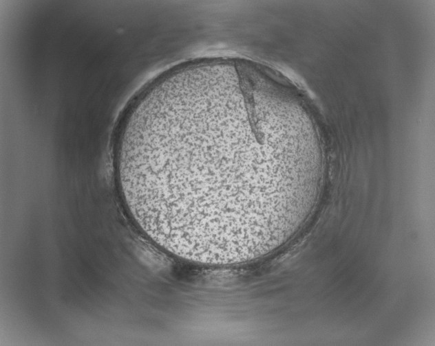 X0000074031167200609181919