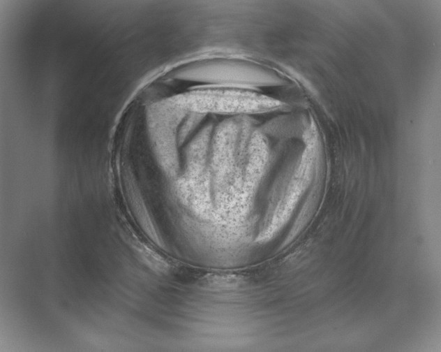 X0000074031168200609181919