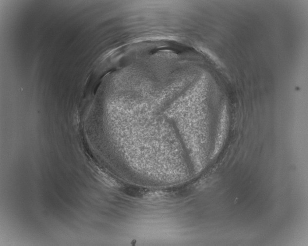 X0000074031169200609181919