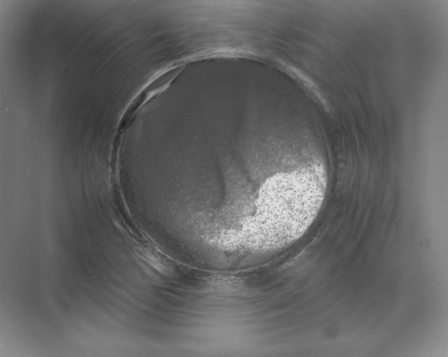 X0000074031170200609181919