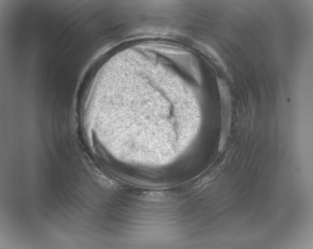 X0000074031172200609181919