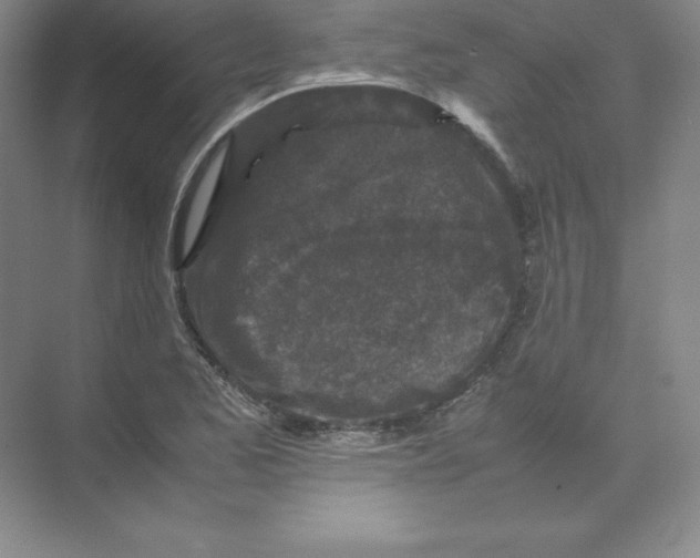 X0000074031173200609181919