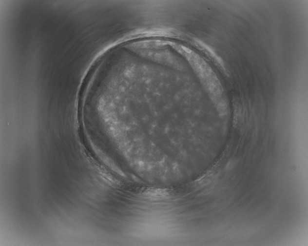 X0000074031174200609181919